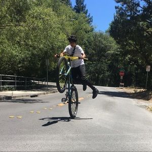 Meet your Posher, Damian